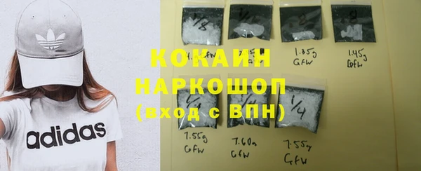 PSILOCYBIN Белокуриха