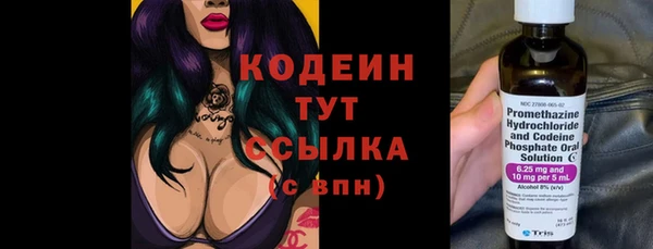 PSILOCYBIN Белокуриха