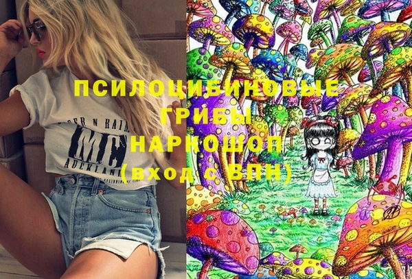PSILOCYBIN Белокуриха