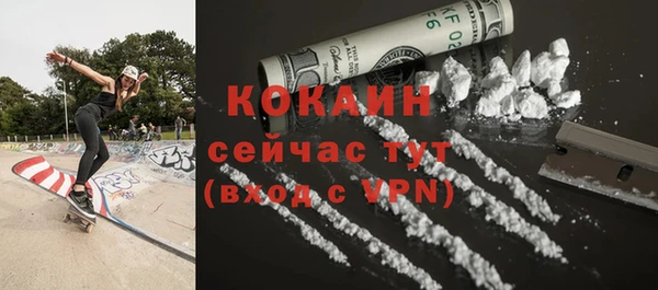 PSILOCYBIN Белокуриха