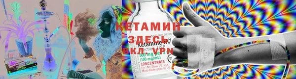 PSILOCYBIN Белокуриха
