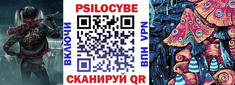 Псилоцибиновые грибы GOLDEN TEACHER  Купить закладки  Михайловск 